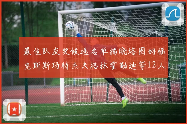 最佳队友奖候选名单揭晓塔图姆福克斯斯玛特杰夫格林霍勒迪等12人争夺荣耀